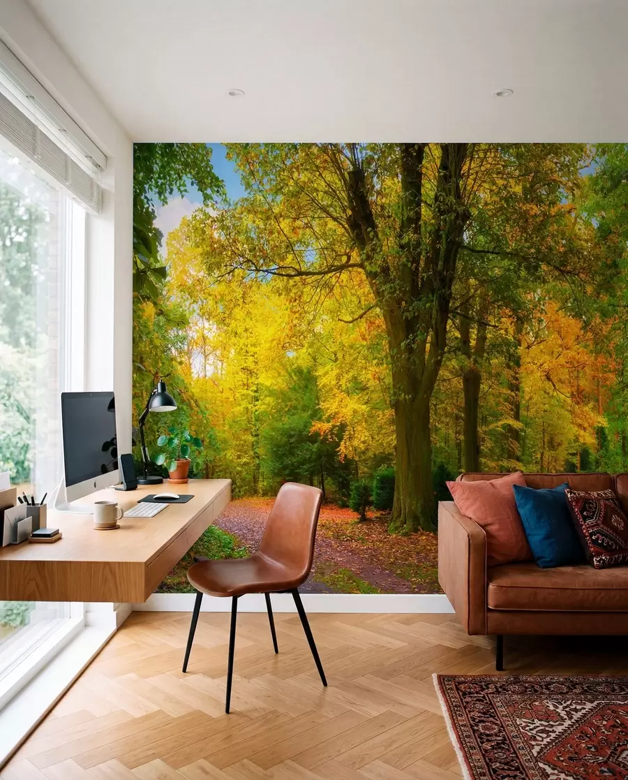fototapet Începutul toamnei u08547