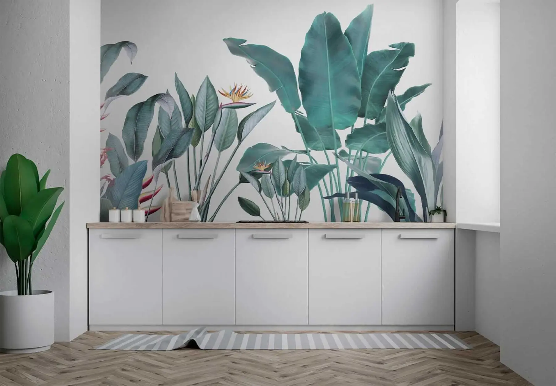 fototapet Plante tropicale u29493