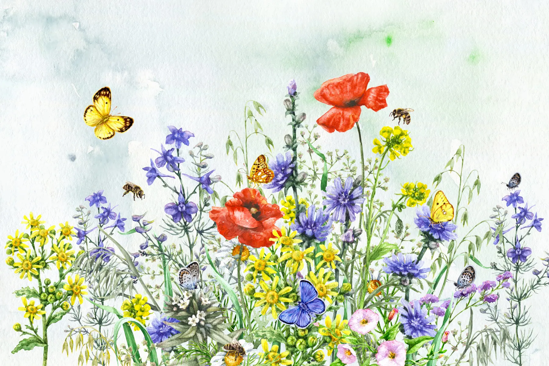 fototapet Buchet de vară u43104