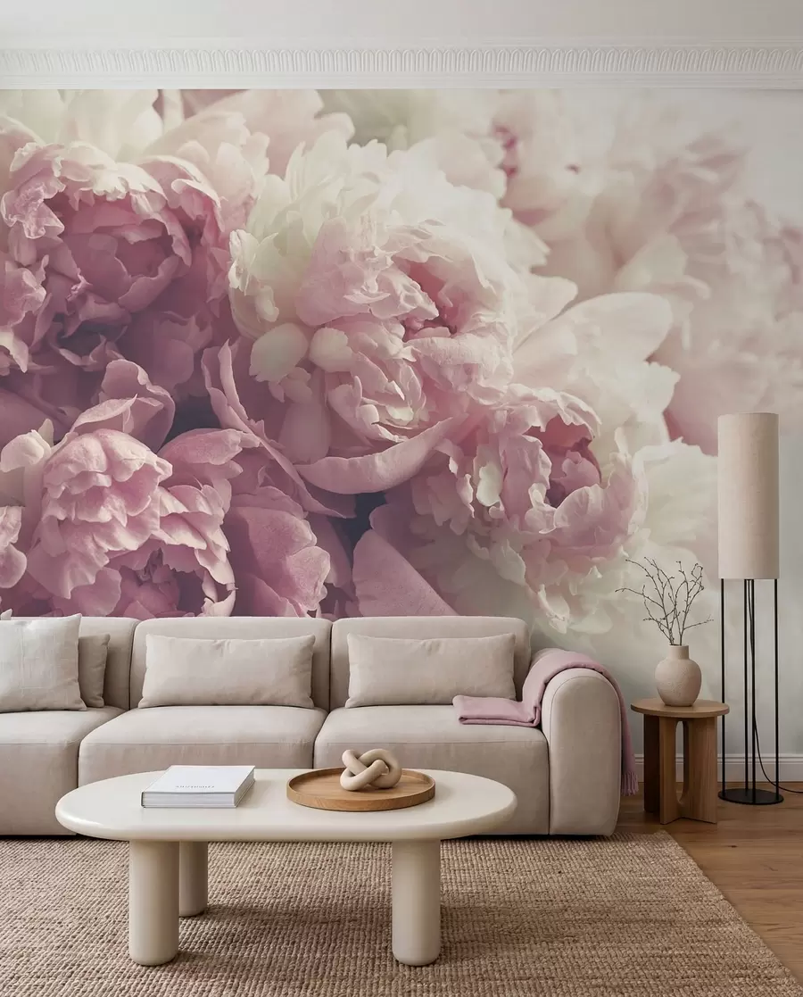 fototapet Floare, petală și roz u44746