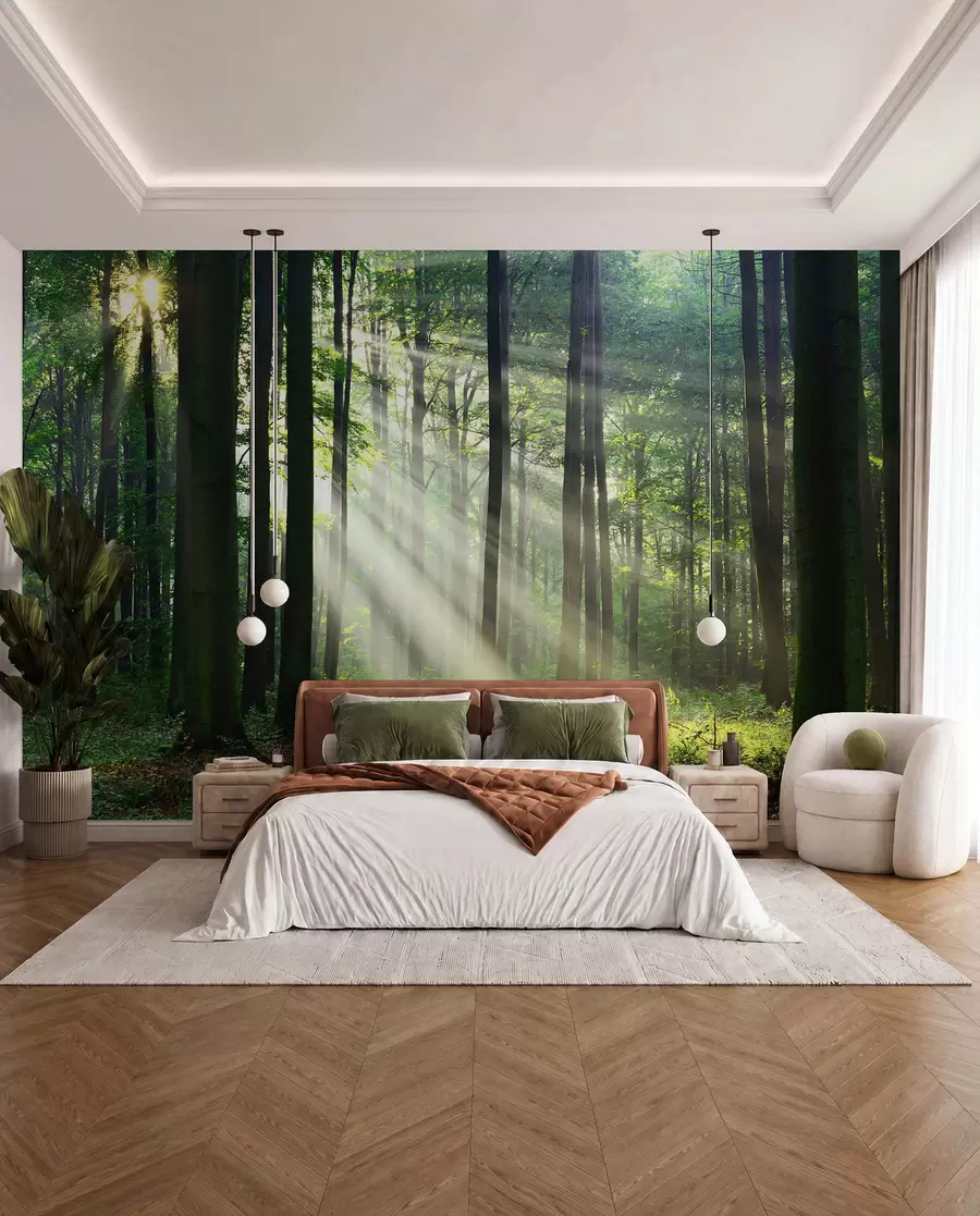 fototapet Soare printre copaci u56787