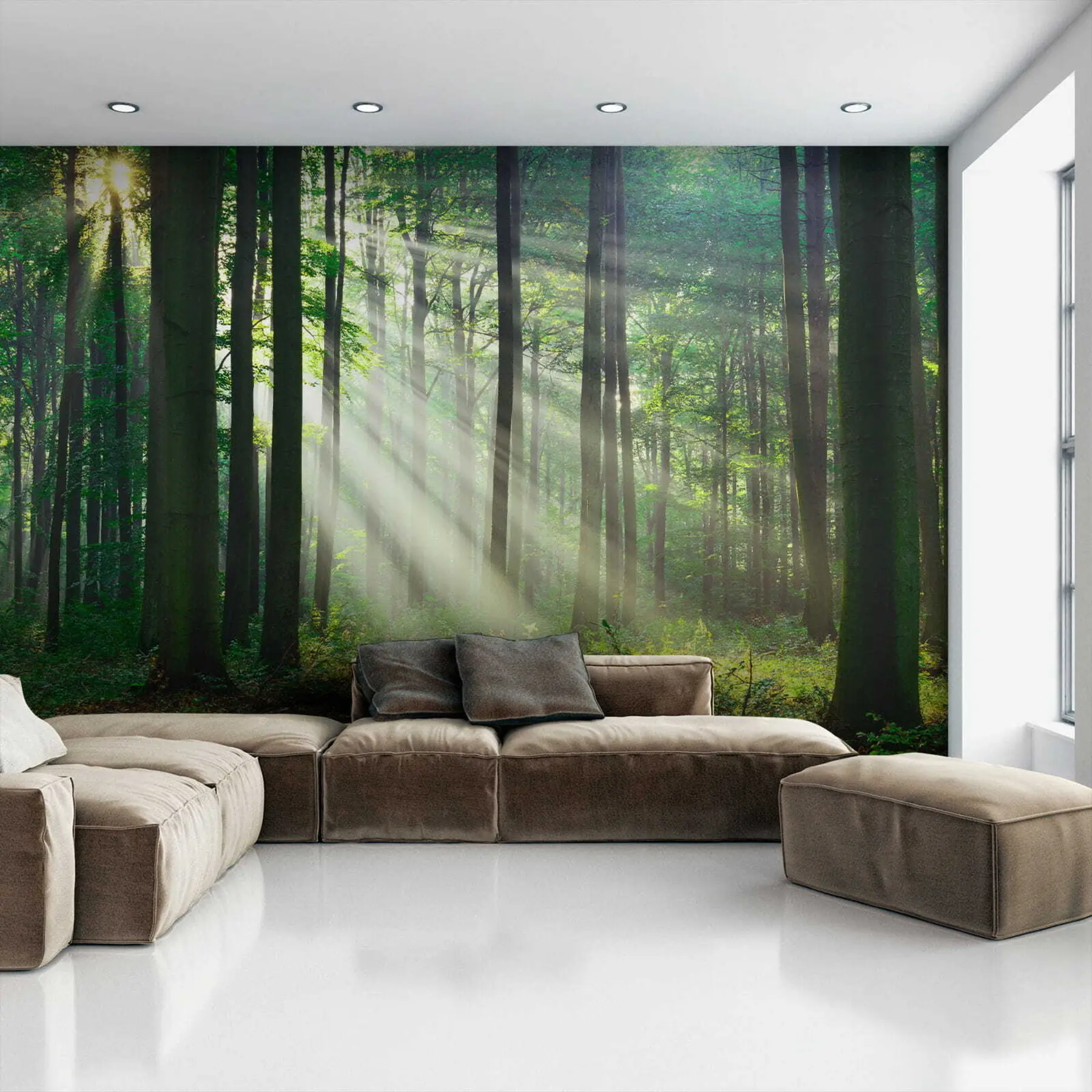 fototapet Plantă, verde și ecoregiune u56787