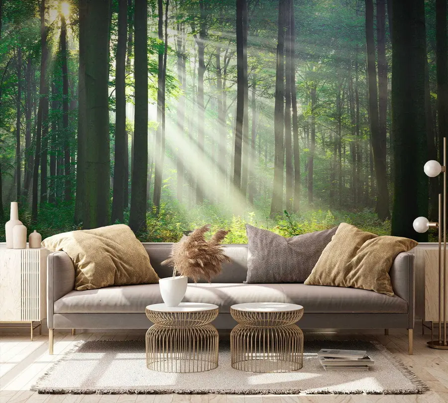 fototapet Plantă, verde și ecoregiune u56787