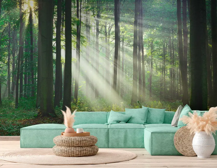 fototapet Plantă, verde și ecoregiune u56787