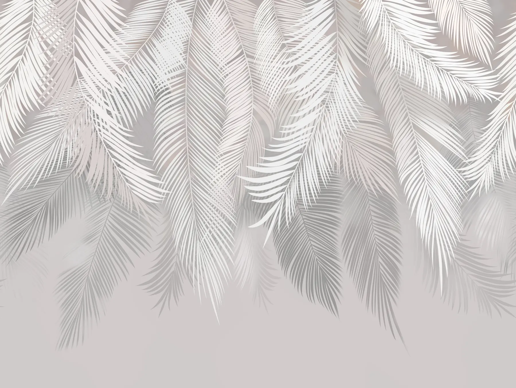 fototapet Frunze de palmier gri u48556