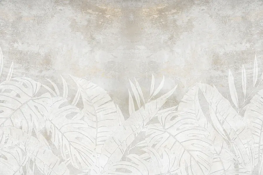 fototapet Palma Babassu u71245