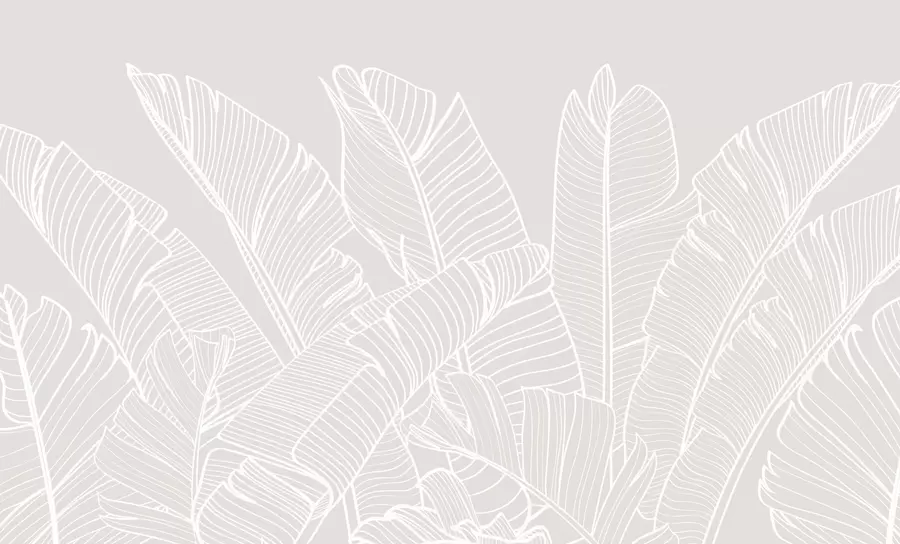 fototapet Tropical frunze de banane minimalism tendință nouă w08210