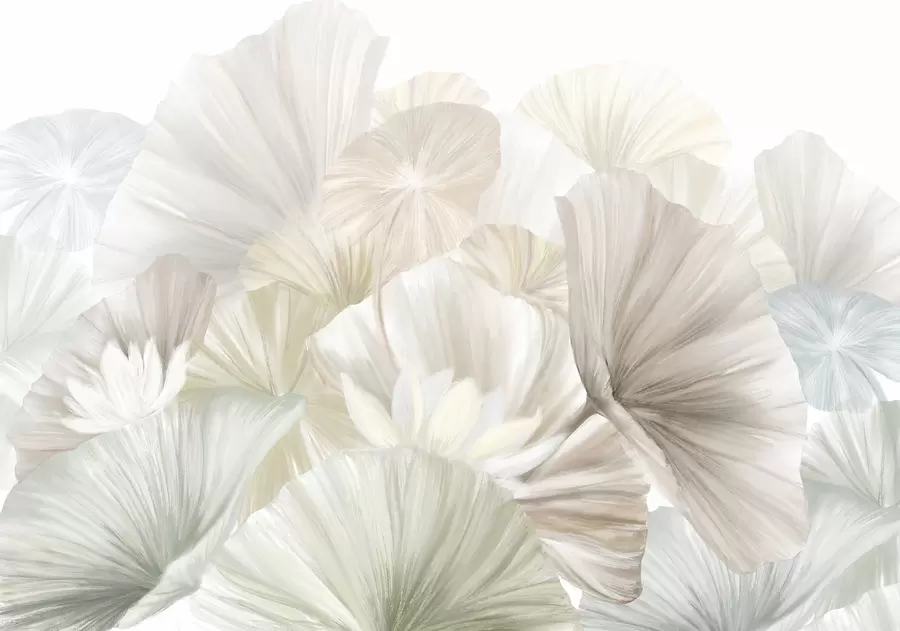 fototapet Frunze delicate de lotus verde cu flori albe cu petale moi, cu pene, aranjate într-o compoziție artistică naturală w08265