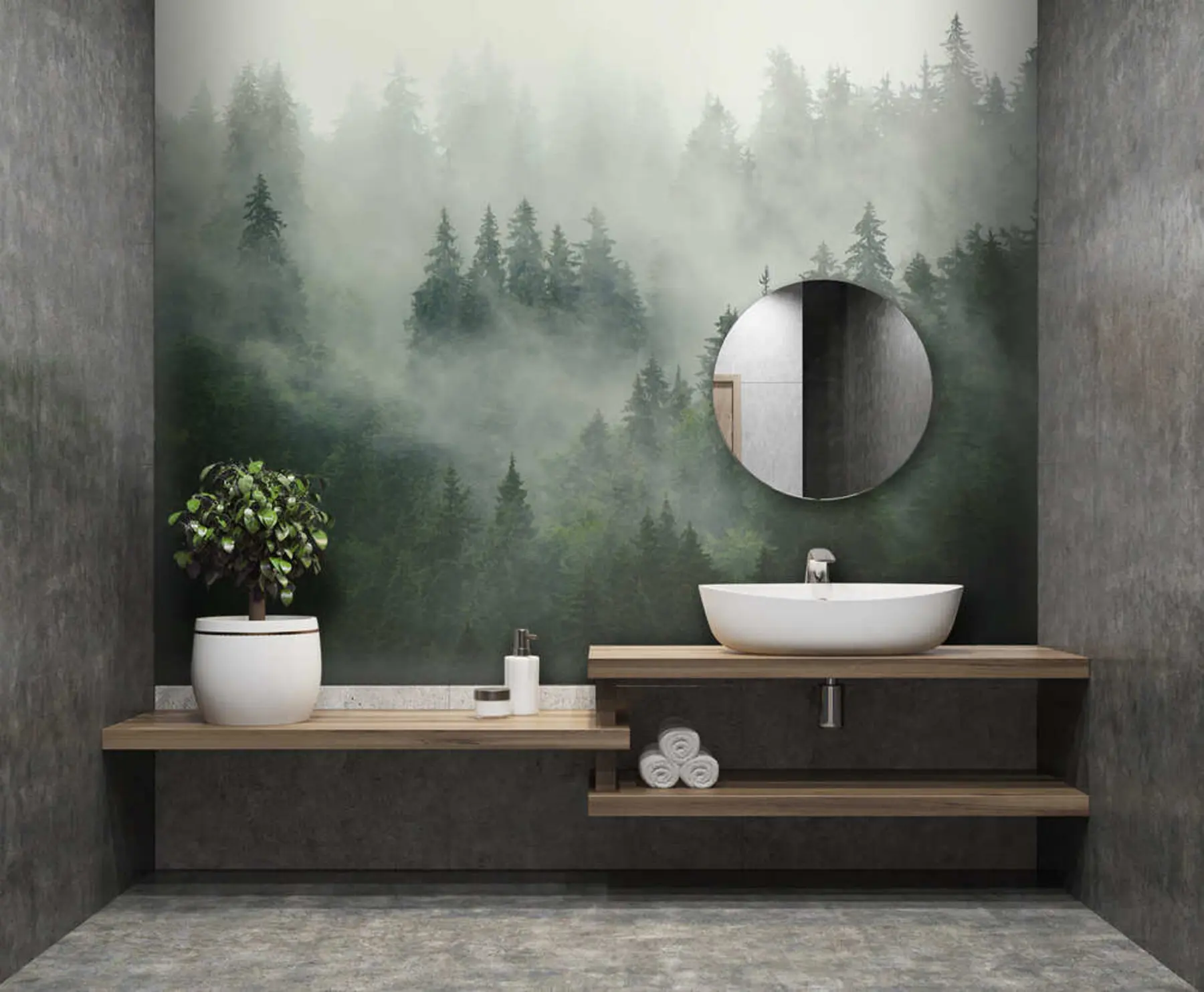 fototapet Dimineață cețoasă, pădure u36439