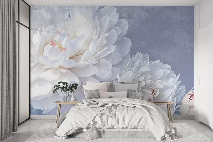fototapet Flori de bujor albe detaliate, cu petale moi, delicate, pe un fundal texturat albastru pastel deschis w08379