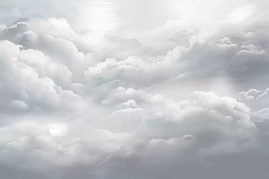 fototapet Nori în gri w02189v1