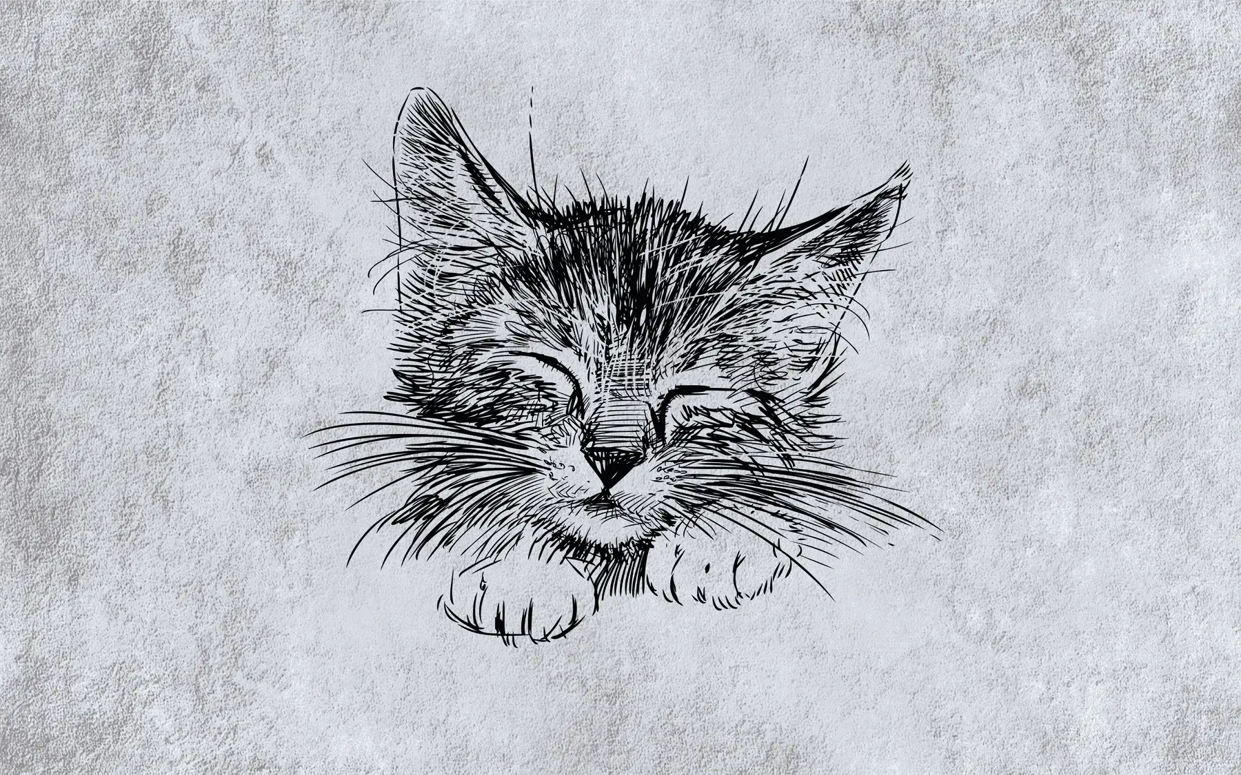 fototapet Pisica, felidae de la carnivore u43536