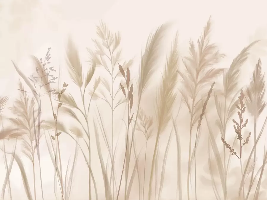 fototapet Ierburi înalte și delicate, spikelets și plante în tonuri moi de bej și crem, pe un fundal ușor neclar w08736