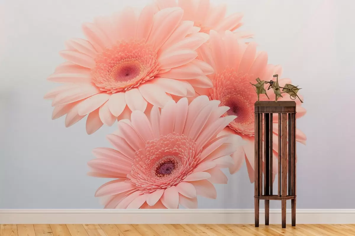 fototapet Gerbera w03929v2