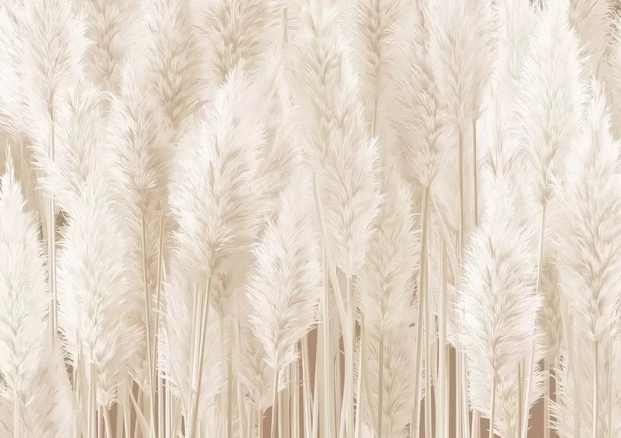 fototapet Iarbă de pampas în tonuri de bej w09126