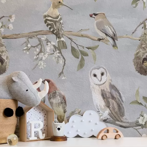 Cele mai recente creații