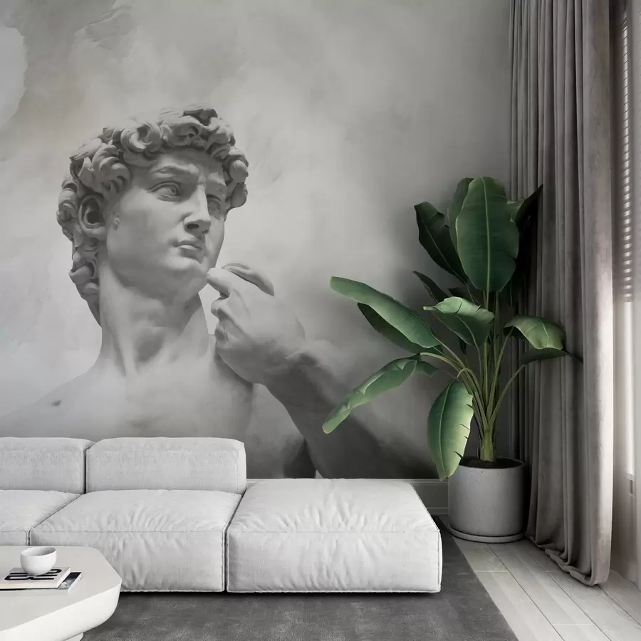 fototapet Spiritul Renașterii w04767