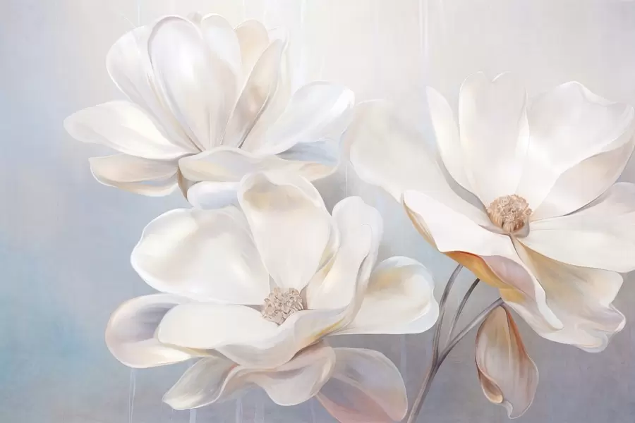 fototapet Flori albe de magnolie cu petale delicate, texturate, pe un fundal abstract, delicat w09373