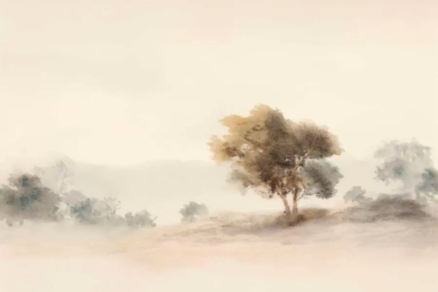 fototapet Peisaj minimalist cu un copac singuratic în ceață w05223
