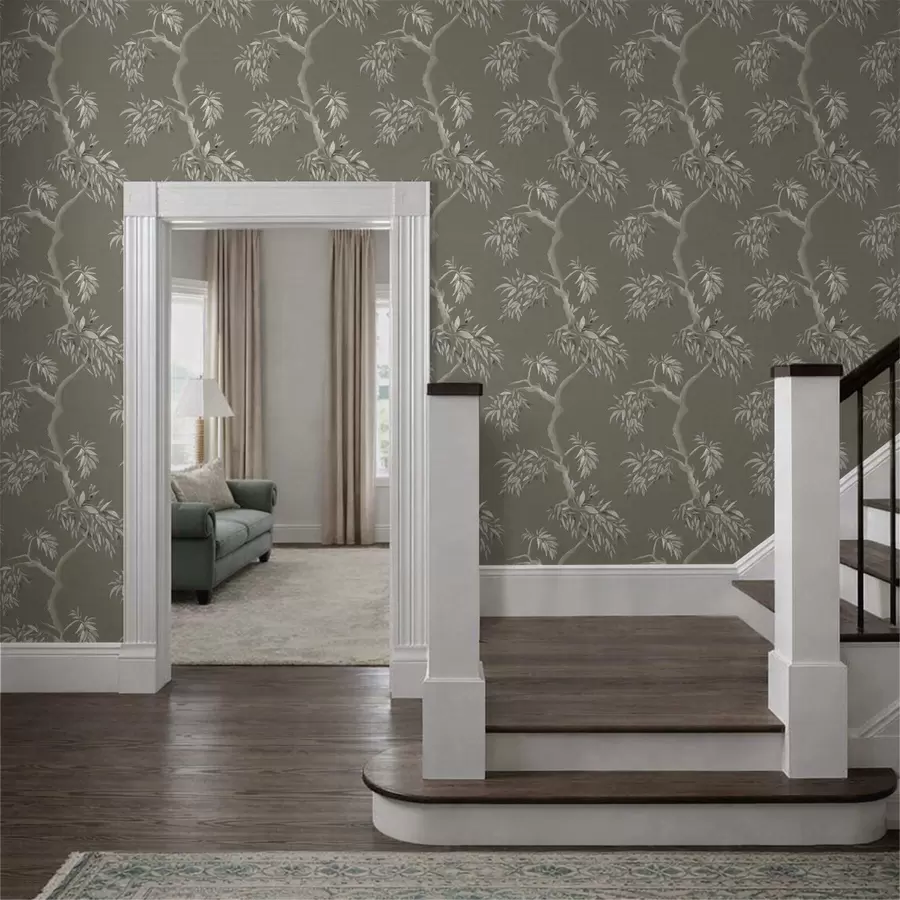 fototapet Ramură ușoară cu frunze pe fundal măslin a01117v1