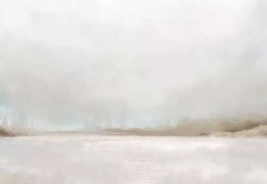 fototapet Peisaj cețos cu lac și pădure w05319