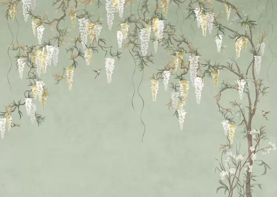 fototapet Ramuri înflorite cu flori albe și păsări pe fond verde w05394