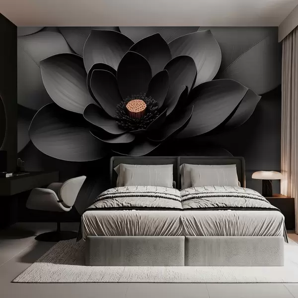 Cele mai recente creații