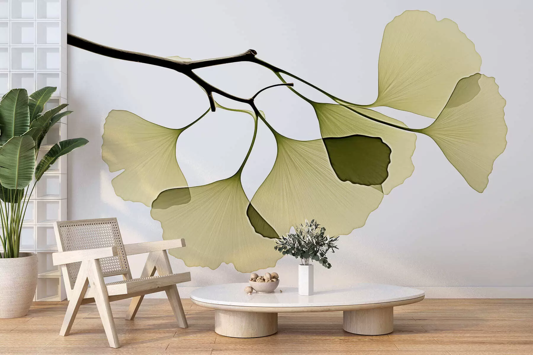 fototapet Frunze de ginkgo în formă de evantai w09968