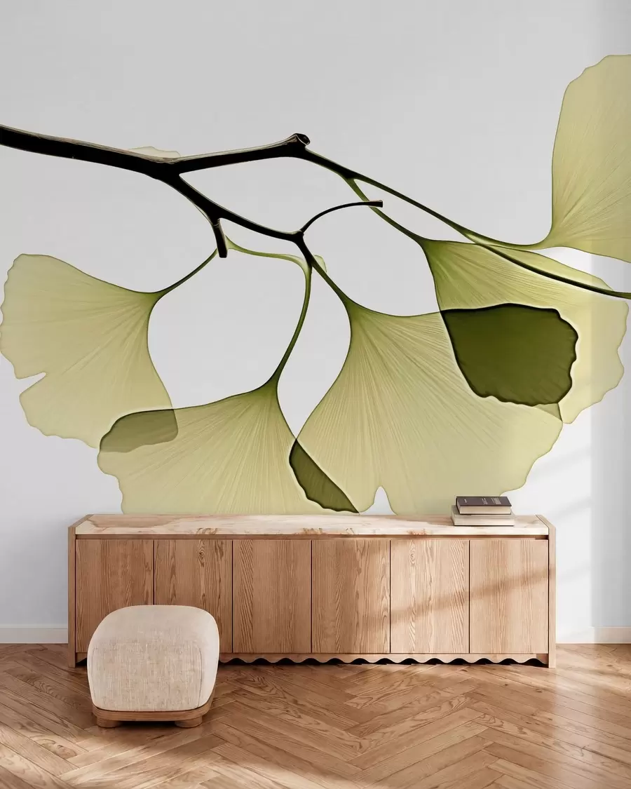fototapet Frunze de ginkgo în formă de evantai w09968