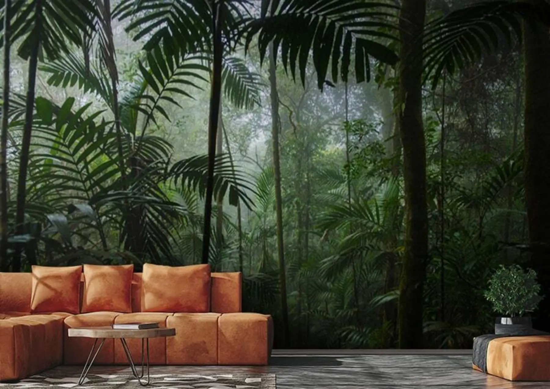 fototapet O pădure tropicală u72344