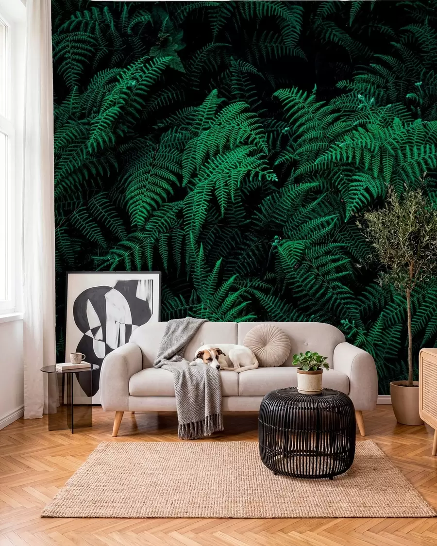 fototapet Fern u73636