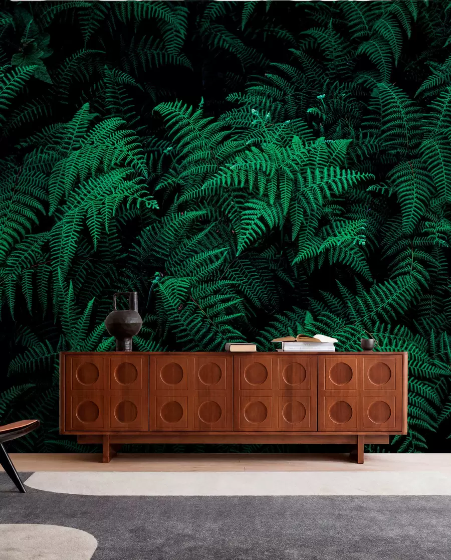 fototapet Fern u73636