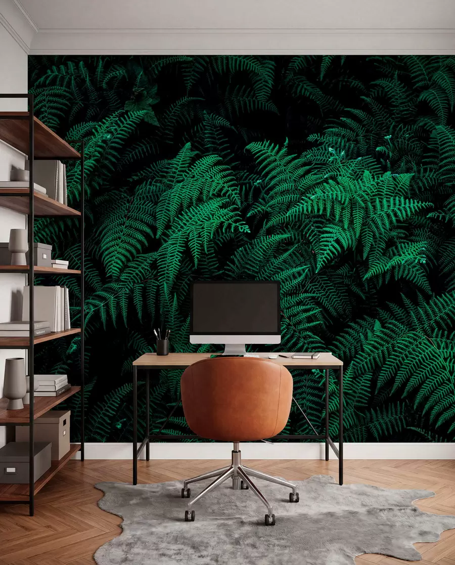 fototapet Fern u73636