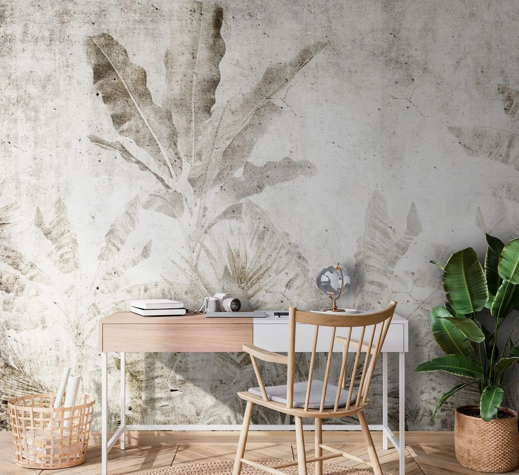 fototapet Frunze de bananier pe un perete de beton u73886