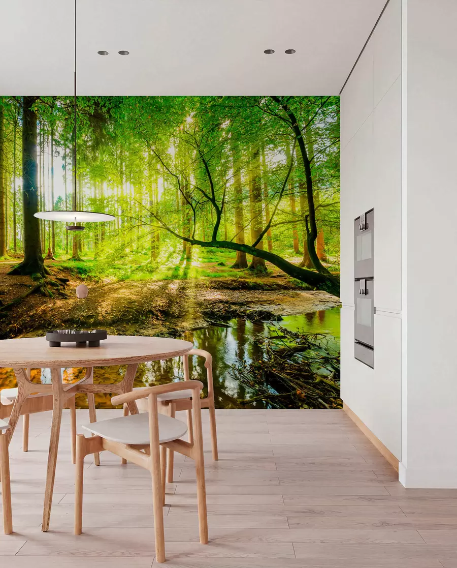 fototapet Transparența fluxului forestier u93621