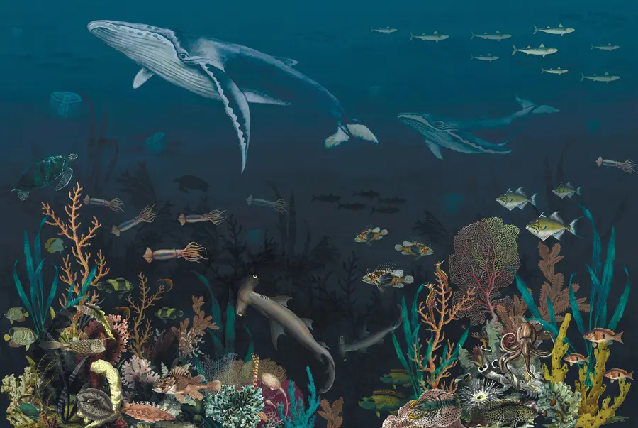 fototapet Locuitori ai oceanului u73581