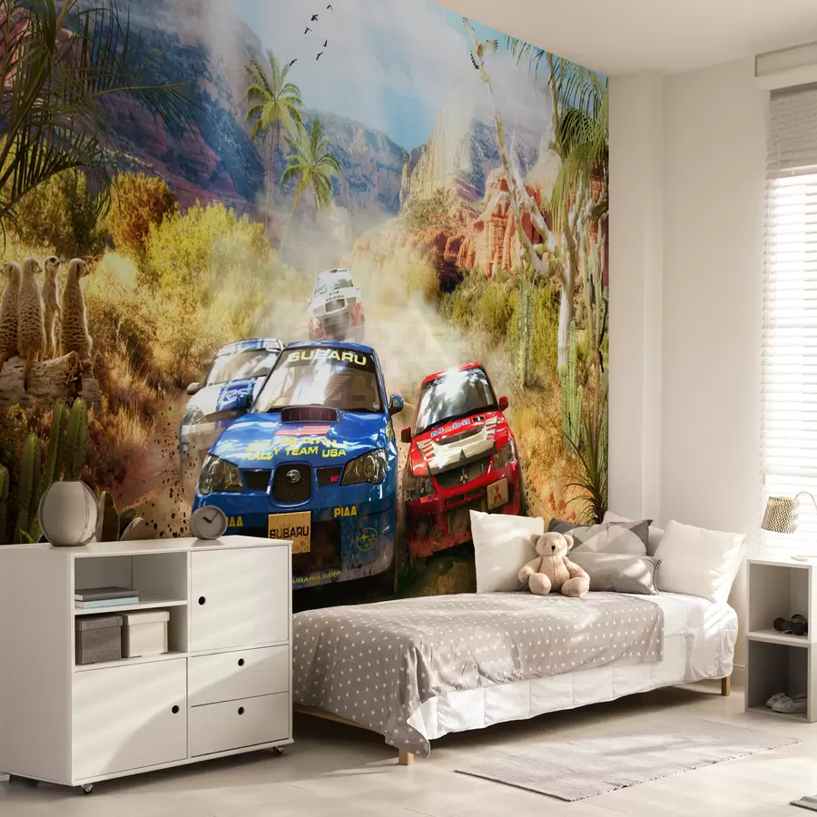 fototapet Raliu în canion u64438