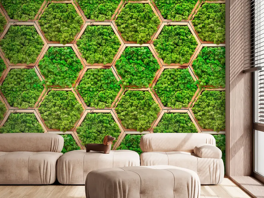 fototapet Module de flori din mușchi în rame hexagonale din lemn u95502