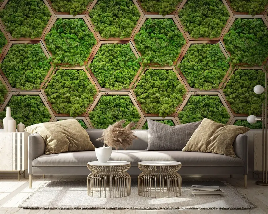 fototapet Module de flori din mușchi în rame hexagonale din lemn u95502