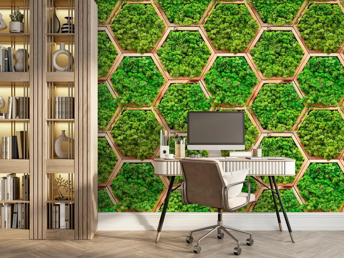 fototapet Module de flori din mușchi în rame hexagonale din lemn u95502