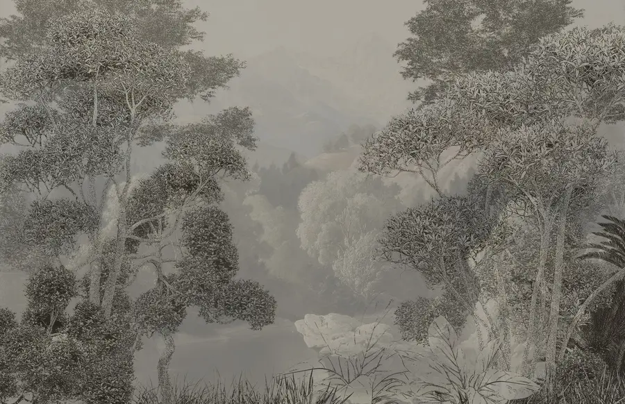 fototapet Pădure tropicală în tonuri de gri u97396