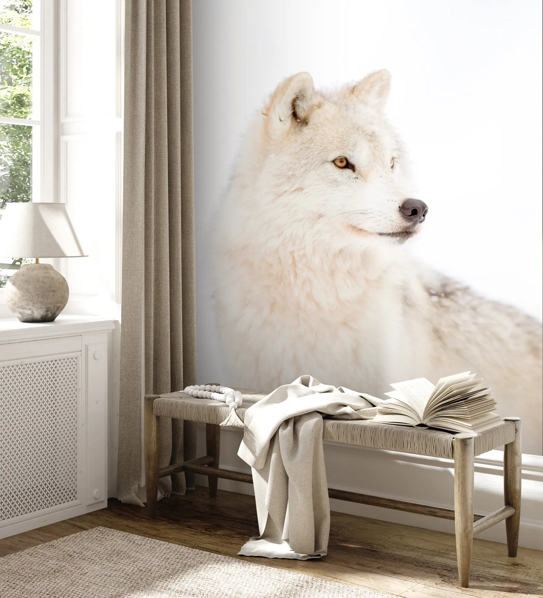 fototapet Lup arctic pe fundal alb u98189