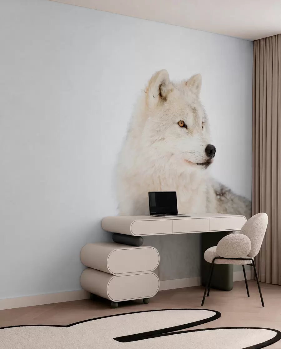 fototapet Lup arctic pe fundal alb u98189