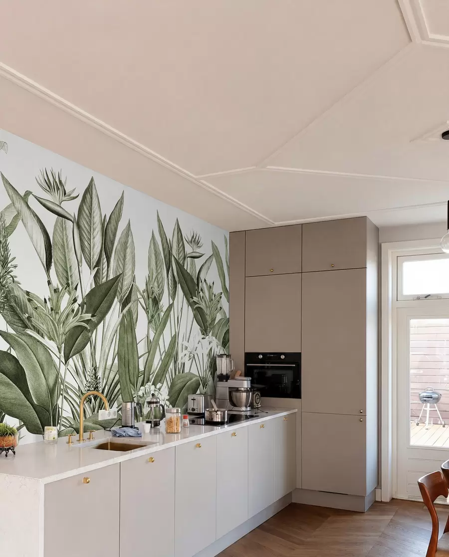 fototapet Plante tropicale junglă culoare verde u96833v2